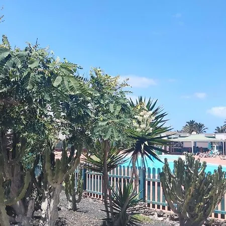 Casa Alice Cocosol Ferienhaus Costa De Antigua